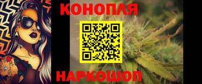 стаф Владимир