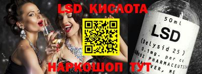 стаф Владимир