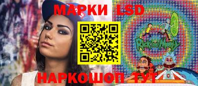 стаф Владимир