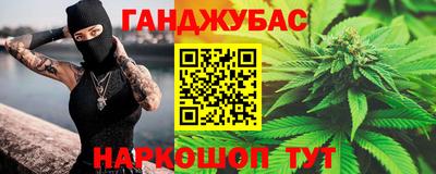 стаф Владимир