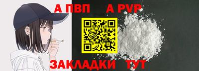 стаф Владимир