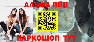 стаф Владимир