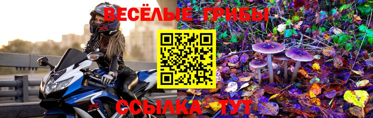 Псилоцибиновые грибы мицелий  Вход с VPN  Белореченск  Галлюциногенные грибы прущие грибы 